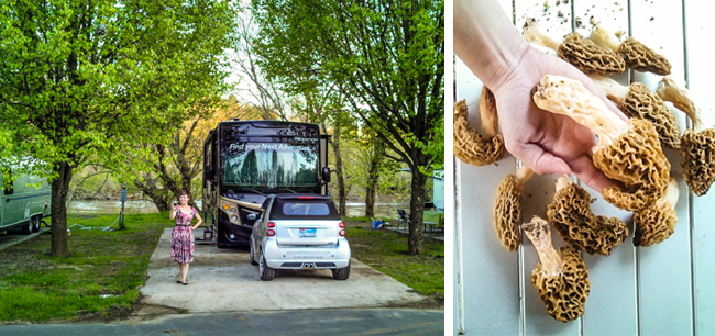 RV camping in Asheville