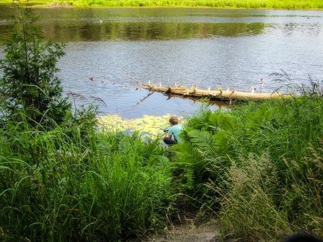 tahquamenon falls michigan