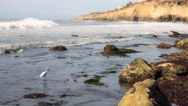explore san diego trover