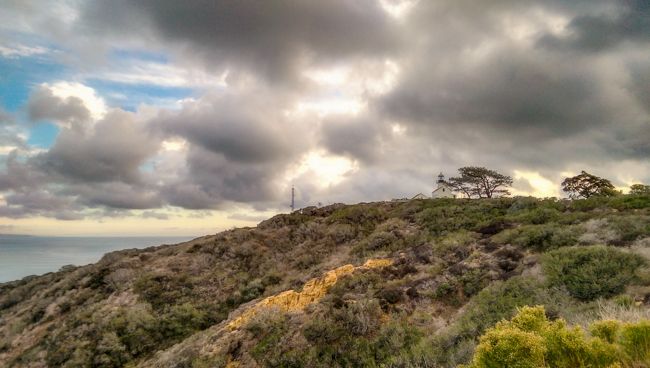 explore San Diego wynns