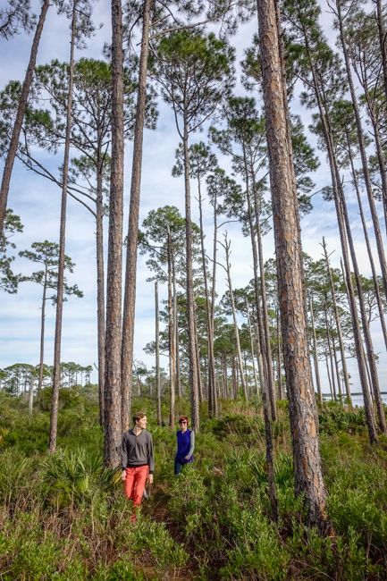 coastal pine trail florida