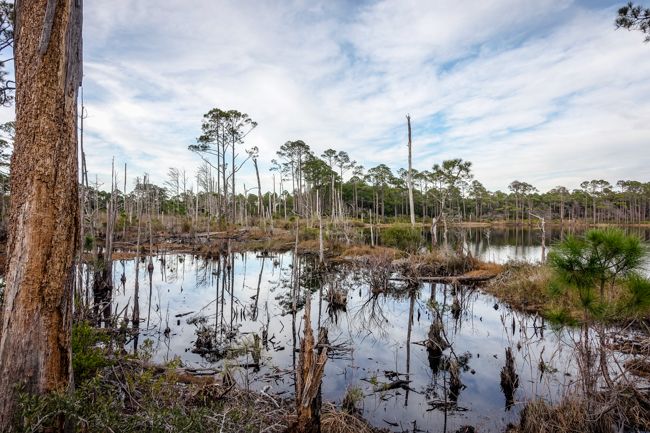 florida state park