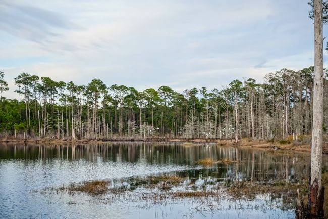 topsail hill state park