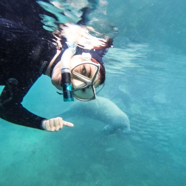 selfie with manatee