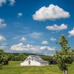 kentucky bourbon trail