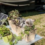 Dupuis Management Area