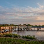 Dupuis Management Area