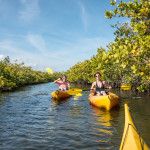 Dupuis Management Area