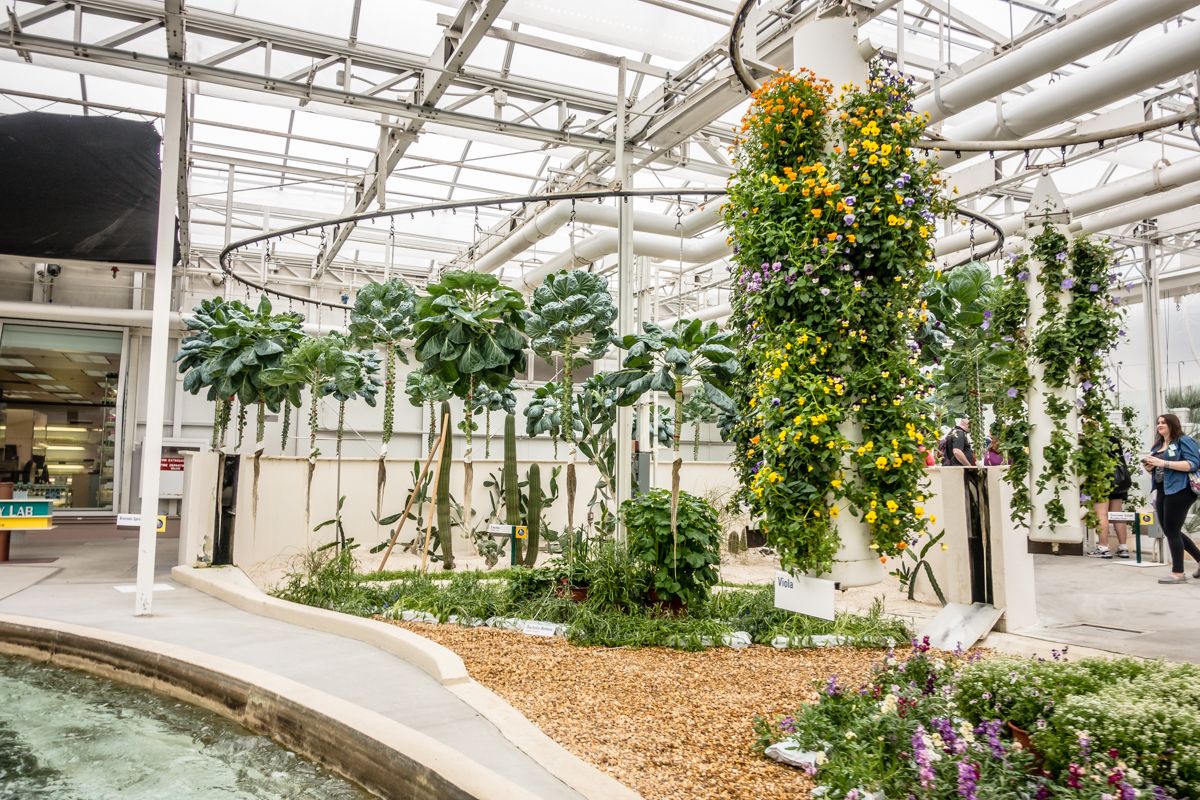 Disney World Florida