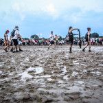 lollapalooza Chicago