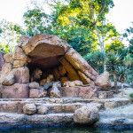 Disney Land California