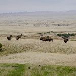 badlands national park