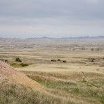 prarie lands