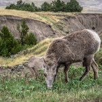 badlands national park
