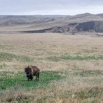 badlands national park