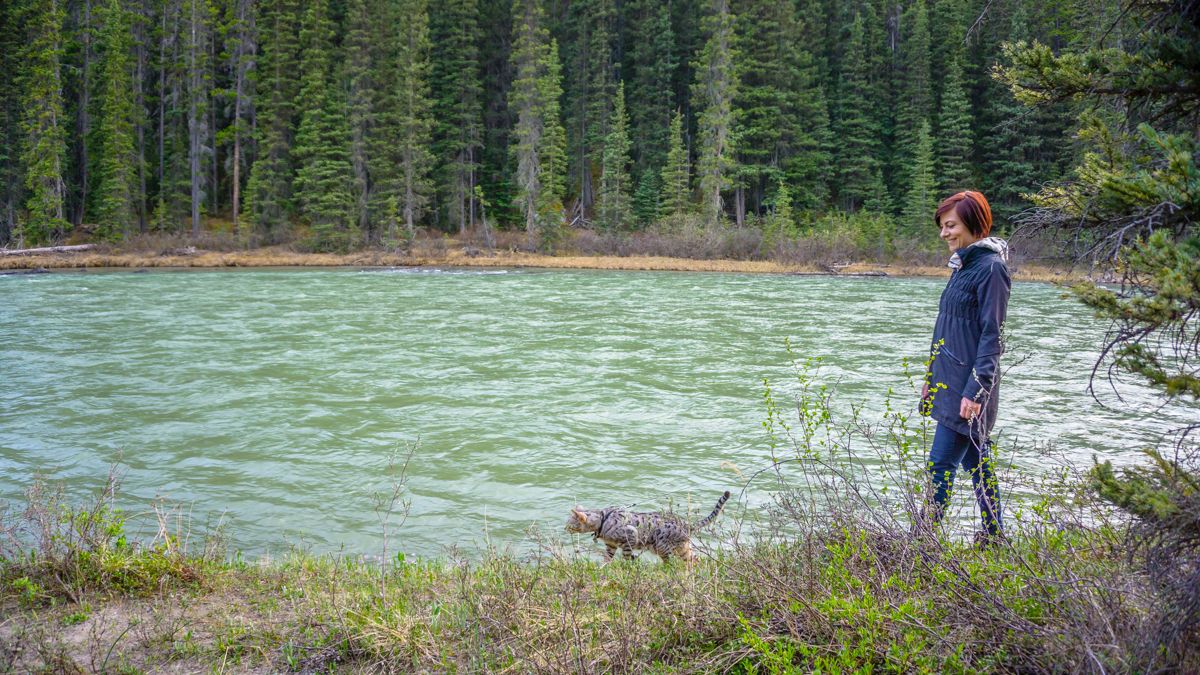 lake Louise canada