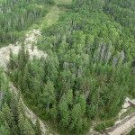 dig site tour