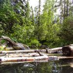hot springs alaskan highway