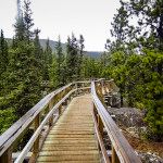 Rancheria Falls on the Alaska Highway