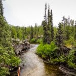 Rancheria Falls on the Alaska Highway