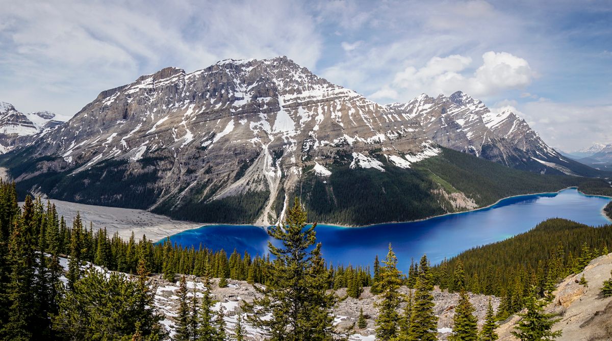 Peyto Lake and Bow Summit