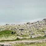 jasper national park