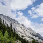 road to Maligne Lake