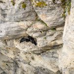 Jasper national park