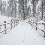 hiking trails