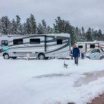 Playing in the snow