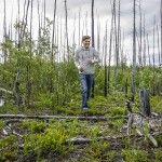 Klondike Highway hiking