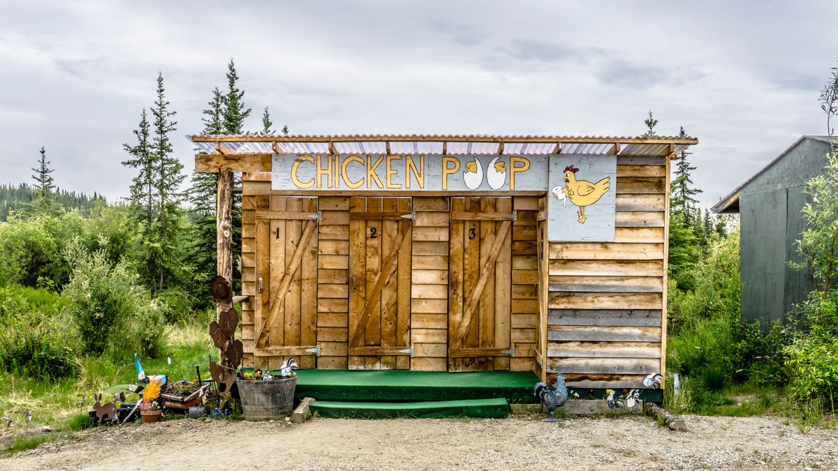 Chicken Alaska Road Trip
