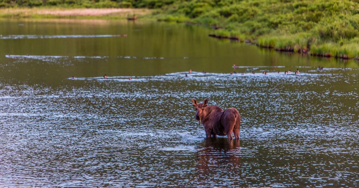Fielding Lake State Recreation Site