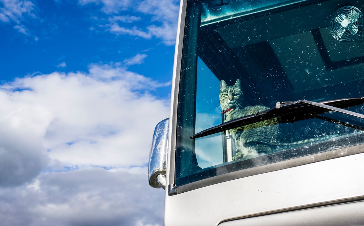 Fielding Lake State Recreation Site