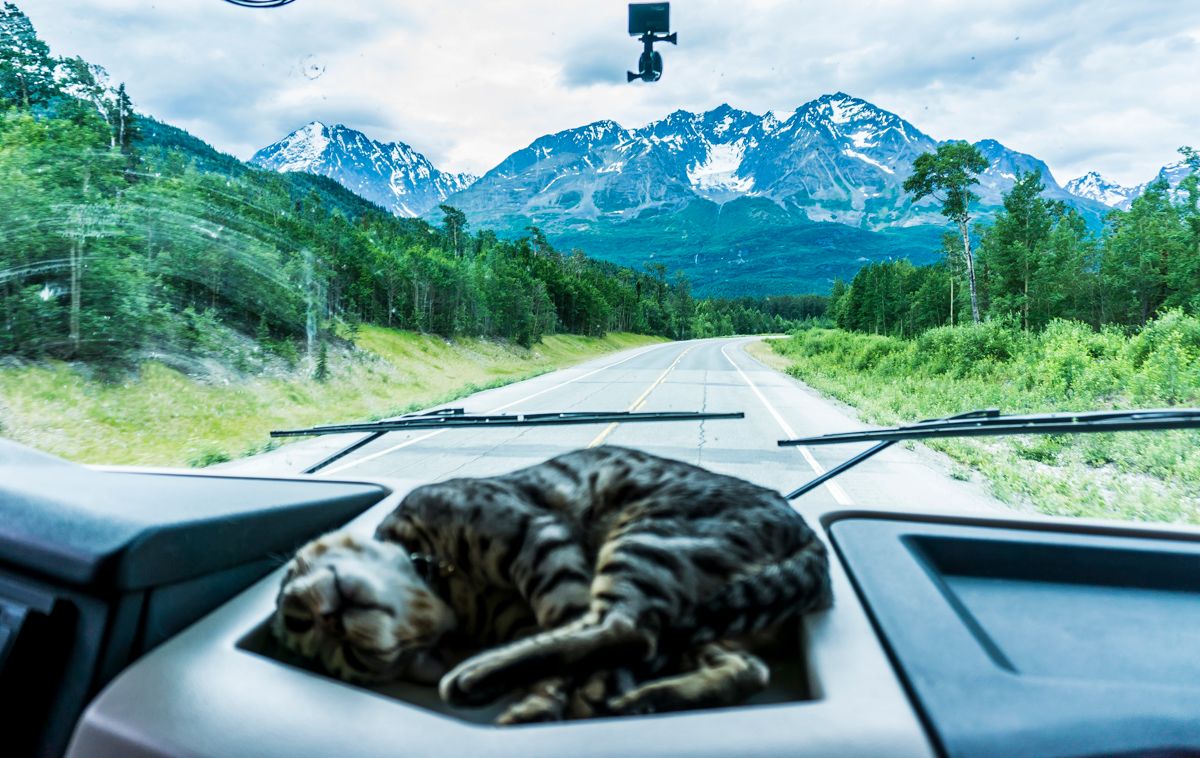 Richardson highway road trip
