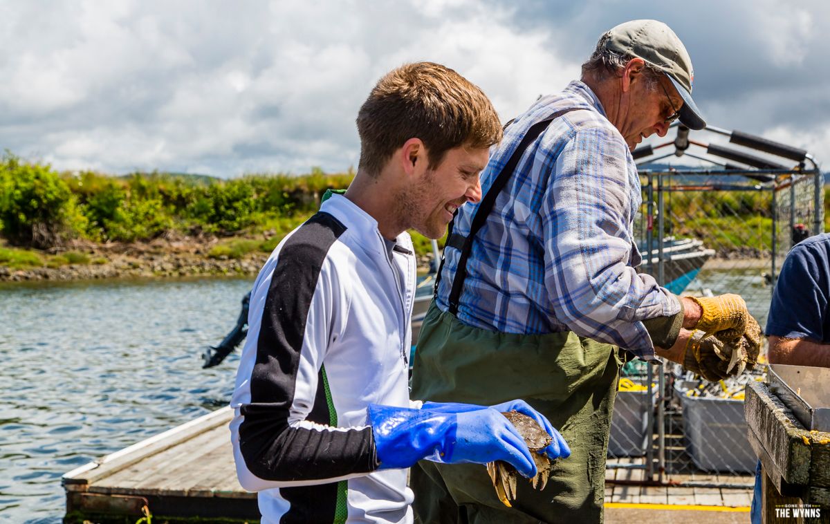 preparing our Dungeness crab