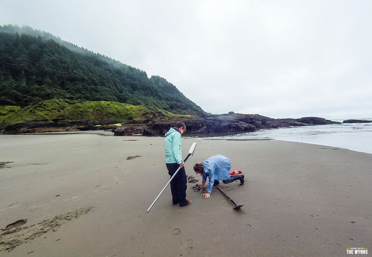 how to digg for clams in oregon