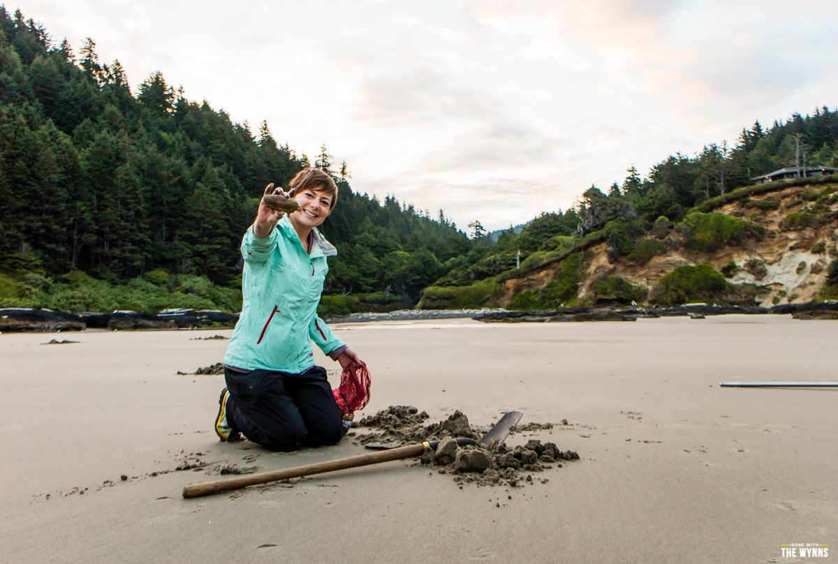 digging for clams in oregon