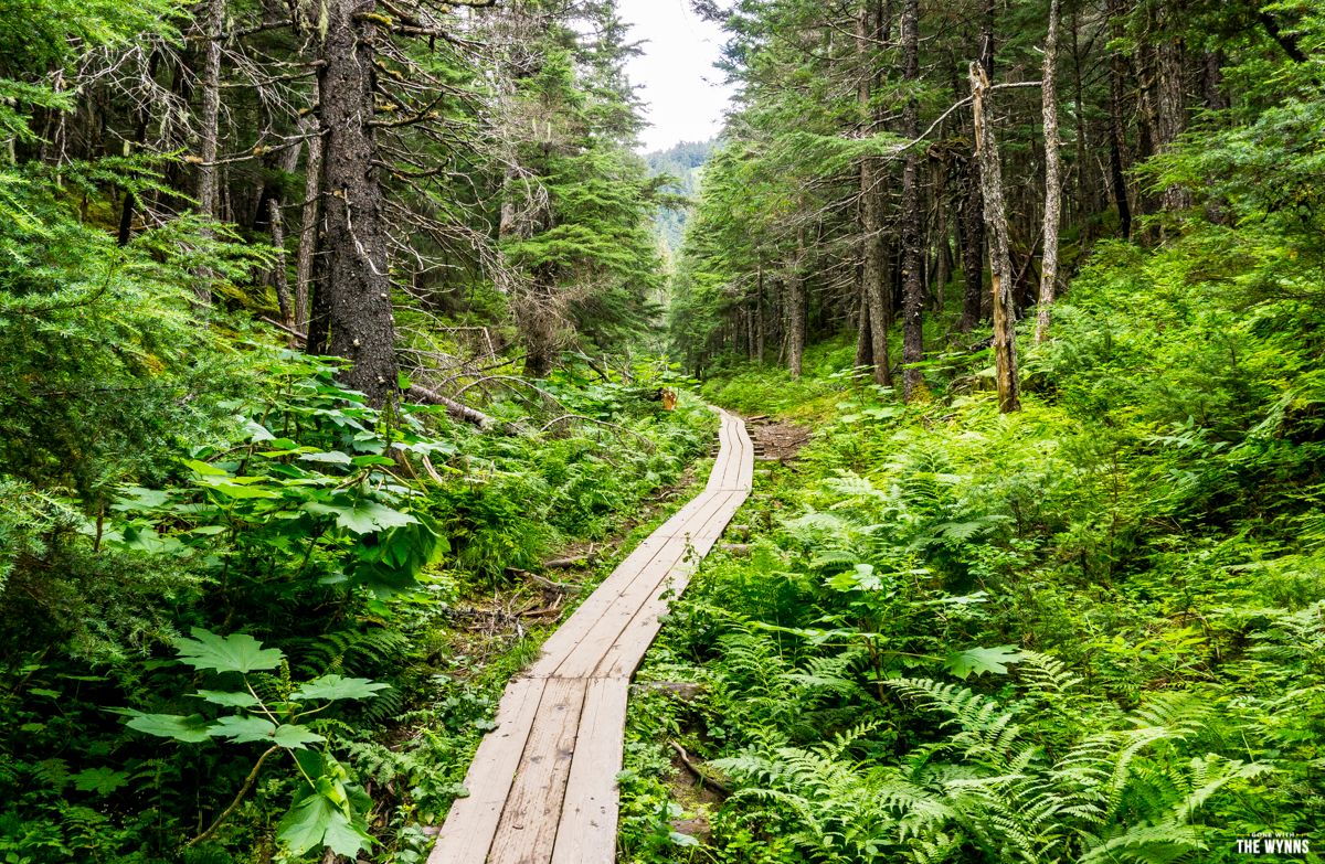 hiking girdwood alaska
