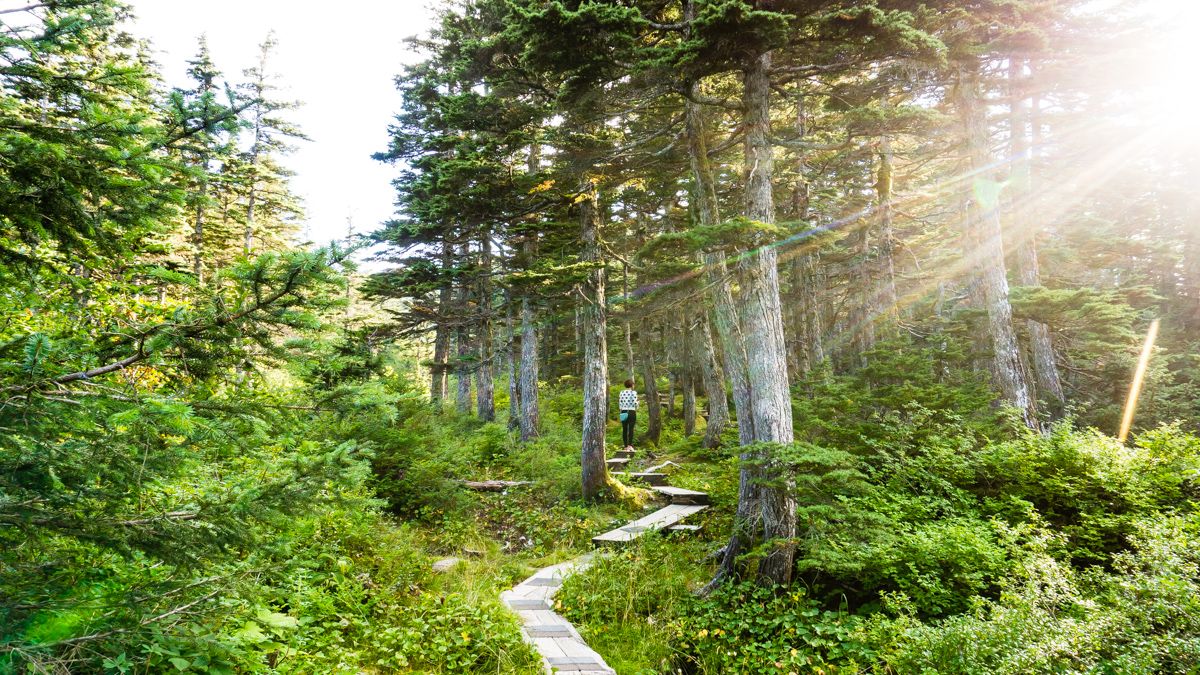 hiking whitter alaska