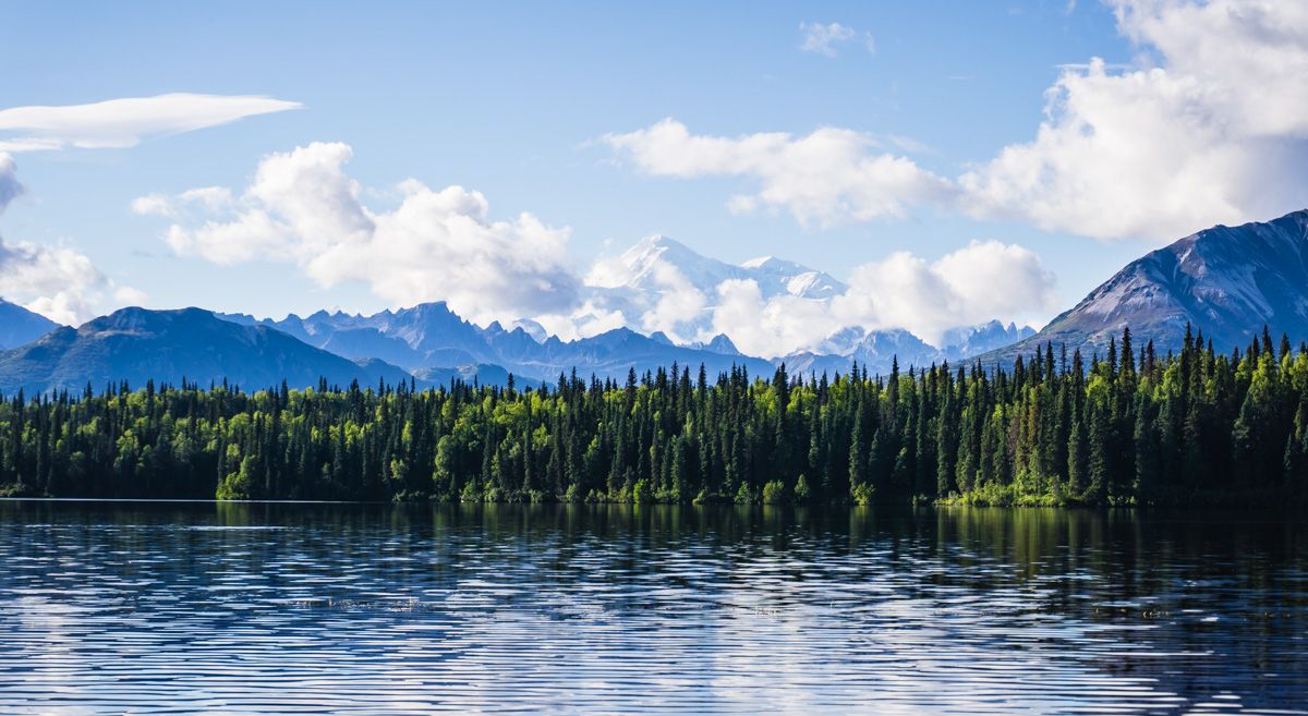 Hiking Denali Byers Lake