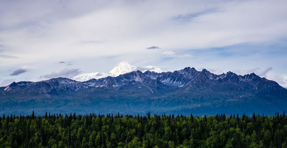 view of denali