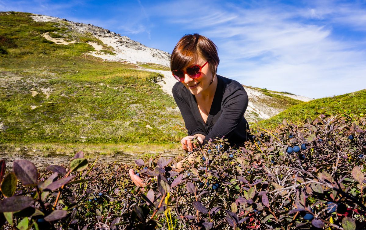 hiking Denali State Park Alaska