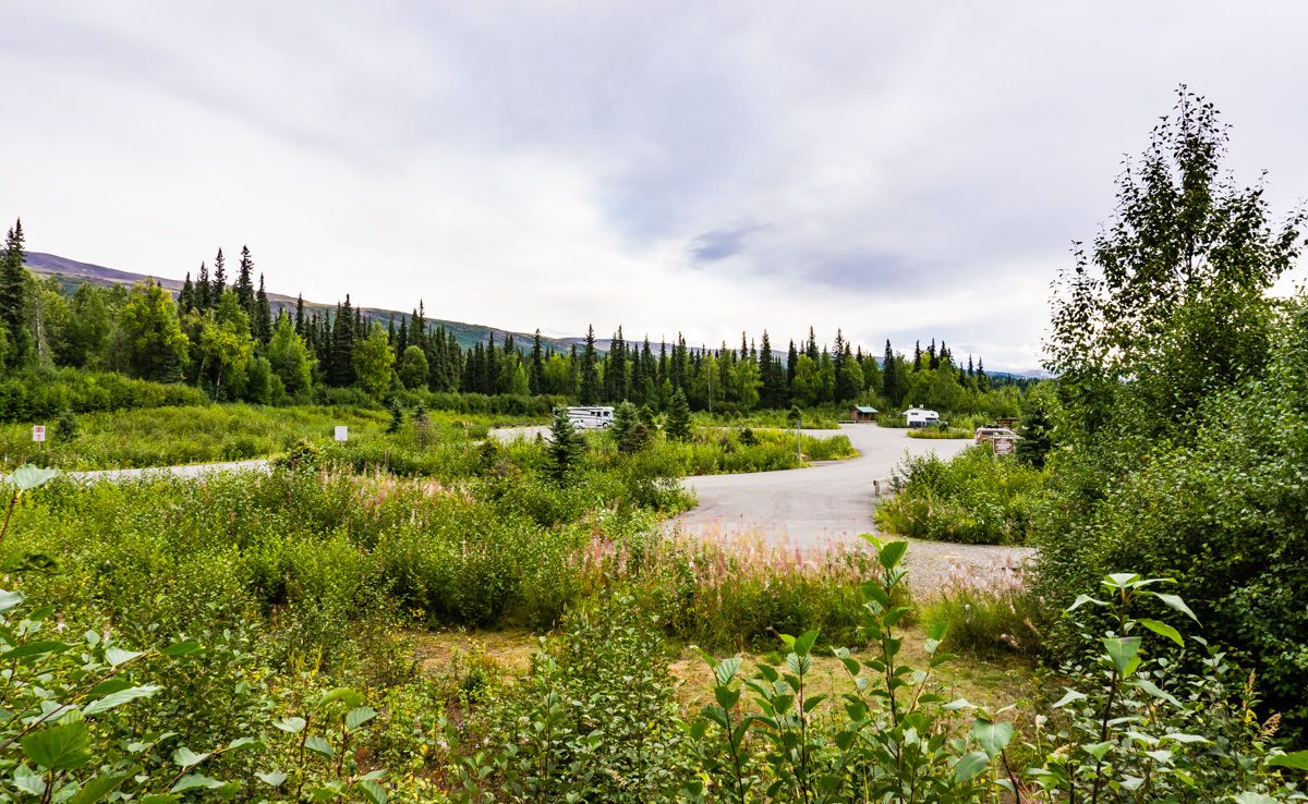 Denali State Park RV Camping