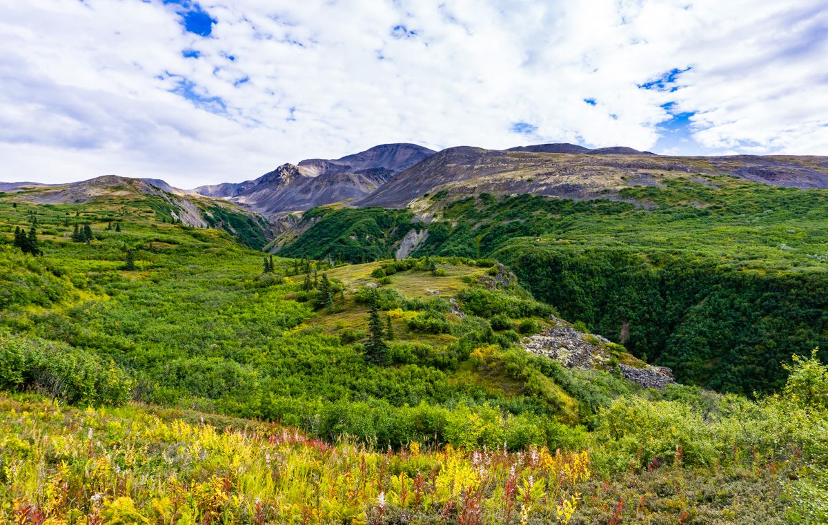 hiking Denali State Park Alaska