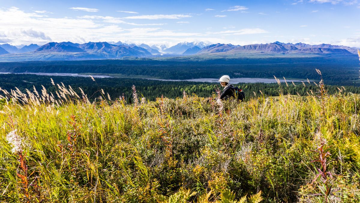 hiking Denali State Park Alaska
