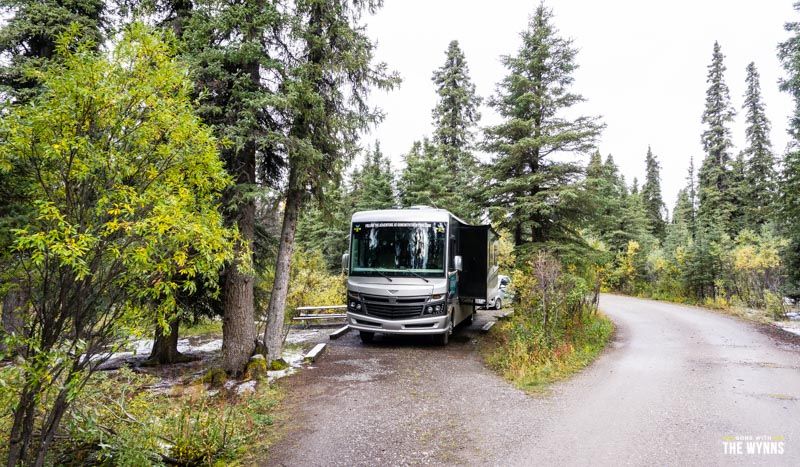camping denali national park