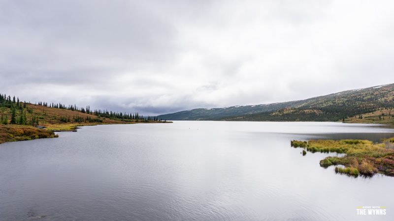 dealing with weather in Denali National Park