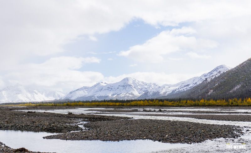 views of Denali National Park