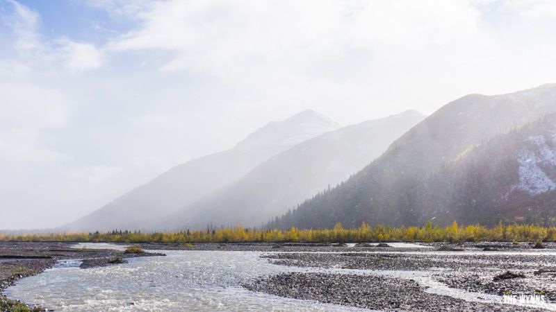 camping trip Denali National Park